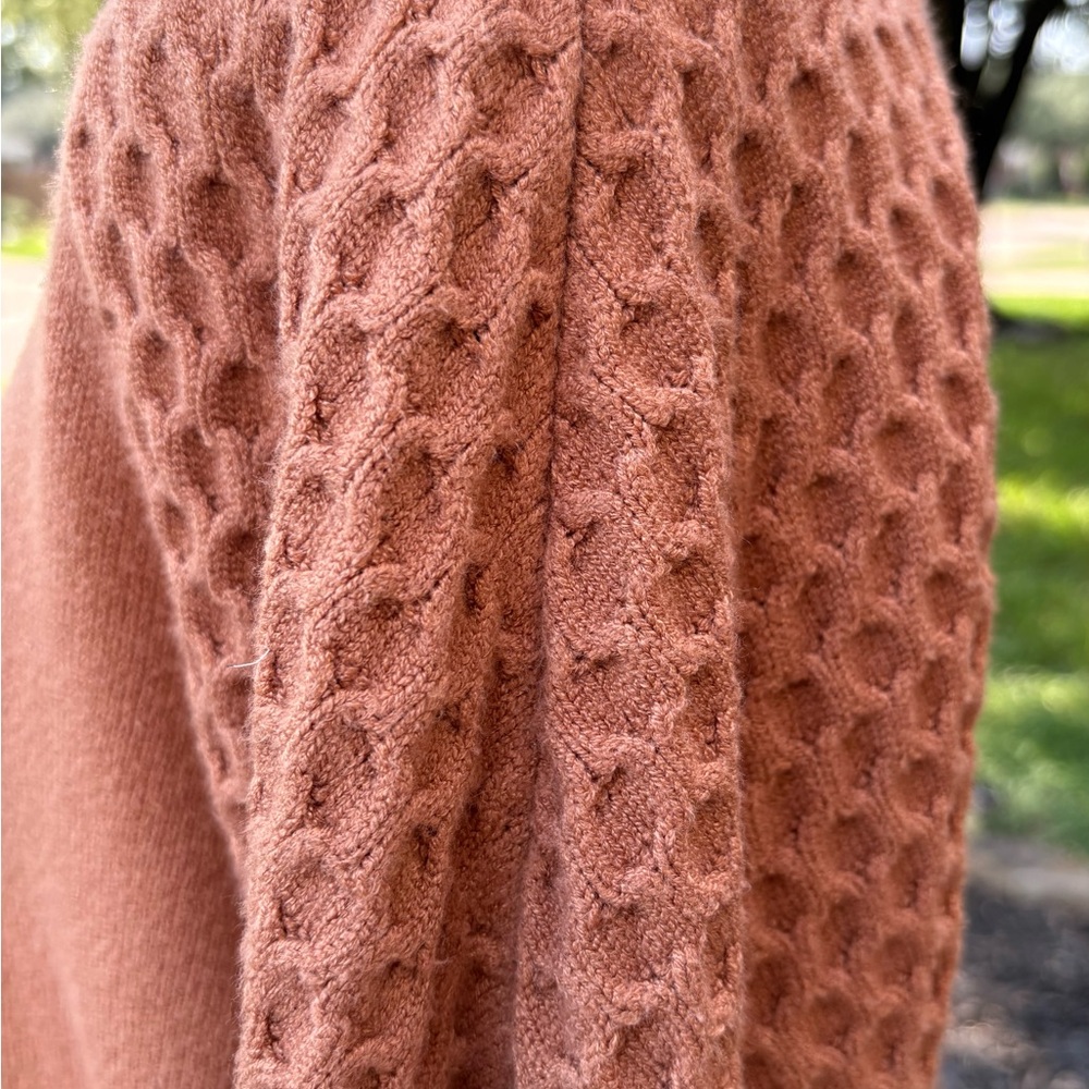 BB Dakota / Steve Madden; Warm Brown Long Sleeve Dress - Picture 5 of 10